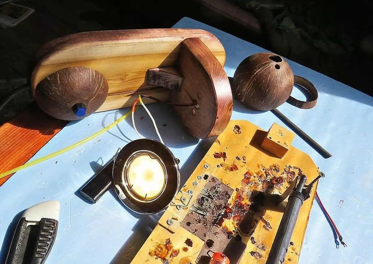 Hvordan lage en lampe for å lese fra ... kokosnøtt 10103_20