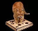 7 Namų žaislai katėms, kurios atitinka šiuolaikinį interjerą 10104_4