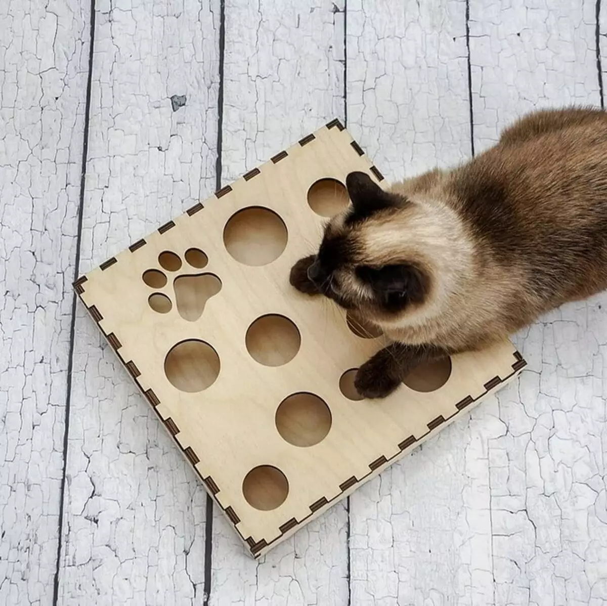 7 اسباب بازی خانگی برای گربه هایی که در داخل مدرن قرار دارند 10104_8