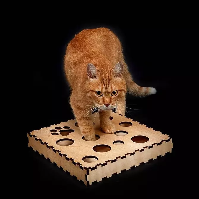 7 domowej roboty zabawki dla kotów pasujących do nowoczesnego wnętrza 10104_9
