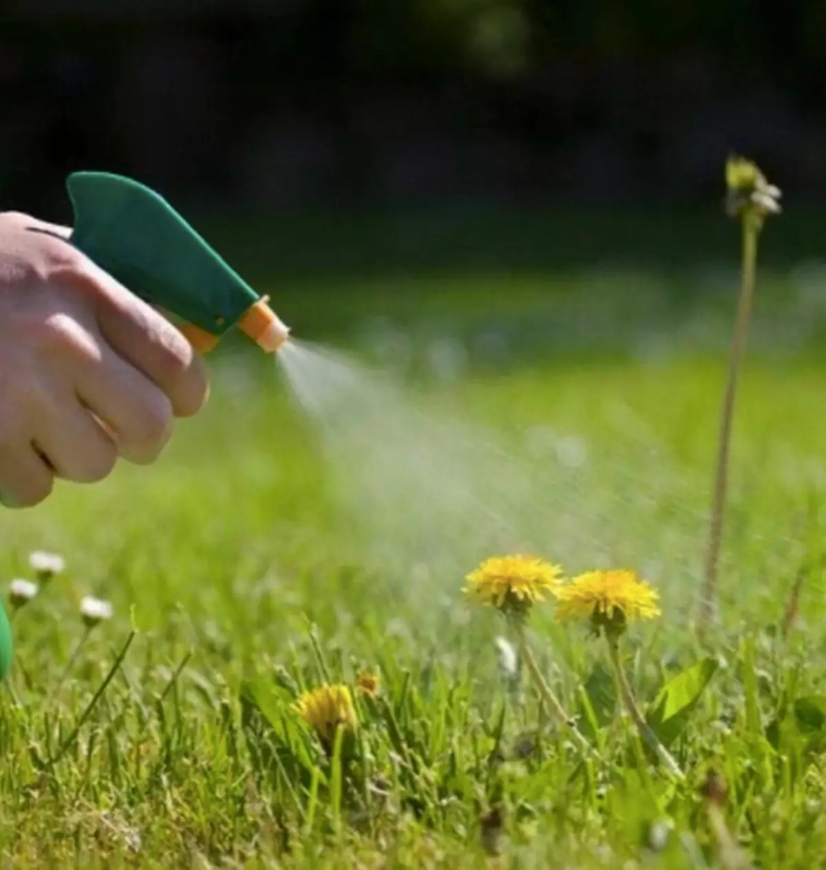 Spray Weeds Vinagro