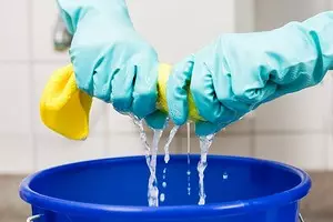 Как да се измие кофата за боклук в кухнята и да я спаси от миризмата: 7 от необходимите съвети 10116_1