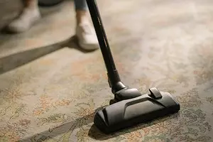 9 najboljših ljudskih orodij za čiščenje preproge doma 10148_1