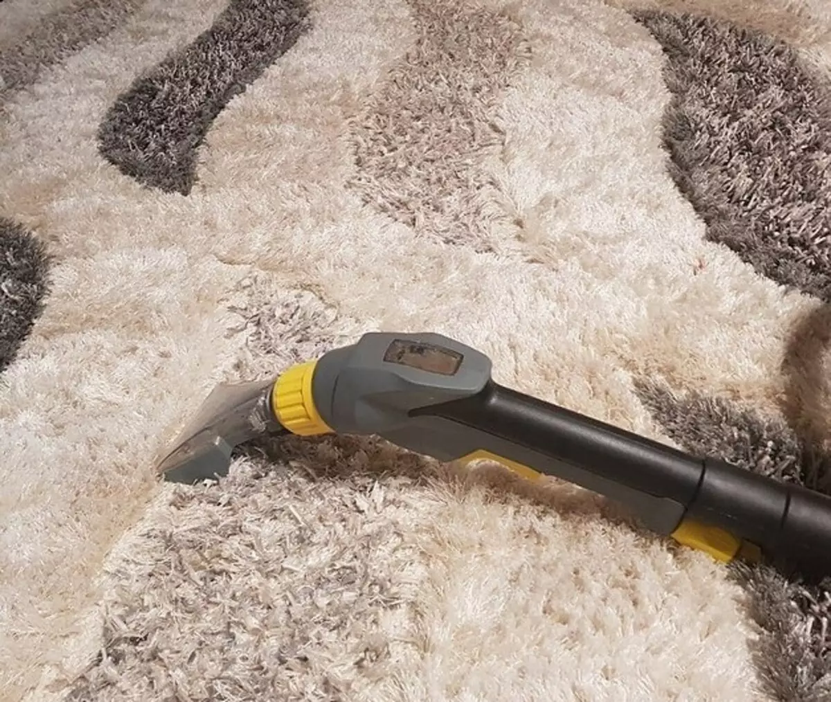 Kako čistiti tepih kod kuće: 4 učinkovite načine i savjete za njegu 10154_12
