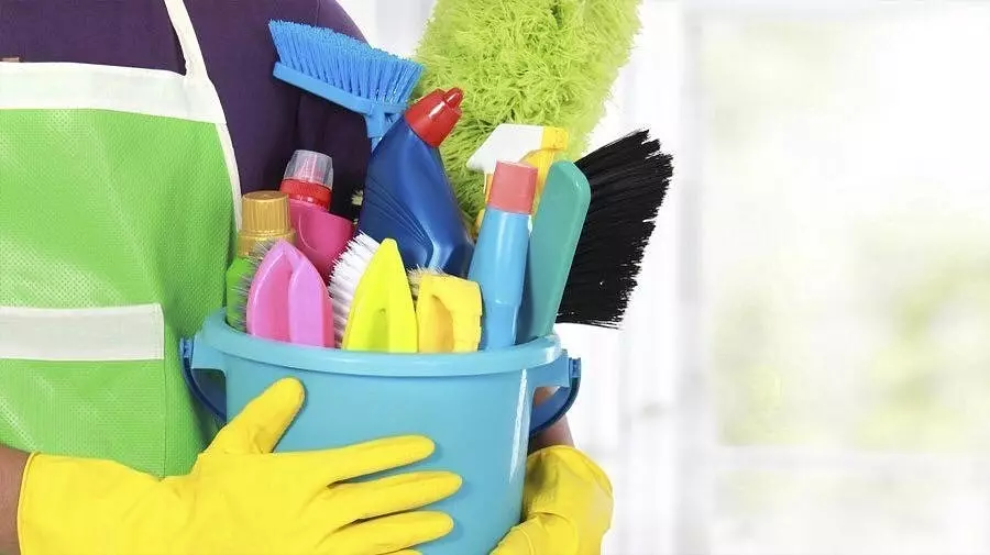 Kako očistiti preprogo doma: 4 Učinkovite načine in nasvete za nego 10154_14