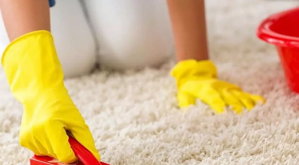 Kuidas puhastada vaip kodus: 4 Tõhusad viisid ja hooldusnõuanded 10154_7
