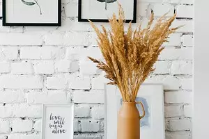 6 reasons for which you should add to the interior ... Pampas Grass 10184_1