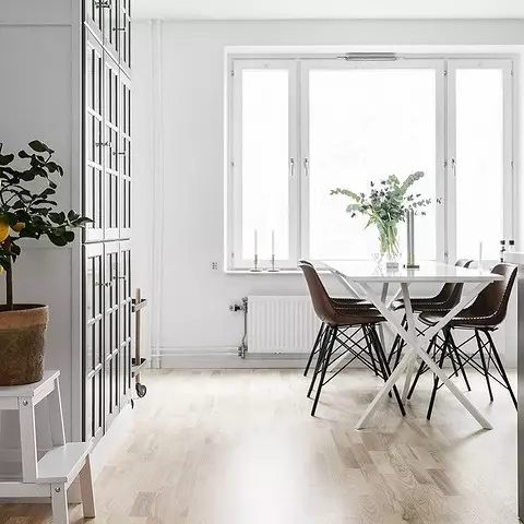 Kuirejo Fasadoj Buĝeto de IKEA: 50 elegantaj ekzemploj de uzo en la interno 10236_98