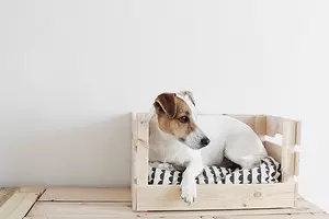 8 coola föremål för dina hundar som kan göras med egna händer från IKEA-möbler 10247_1