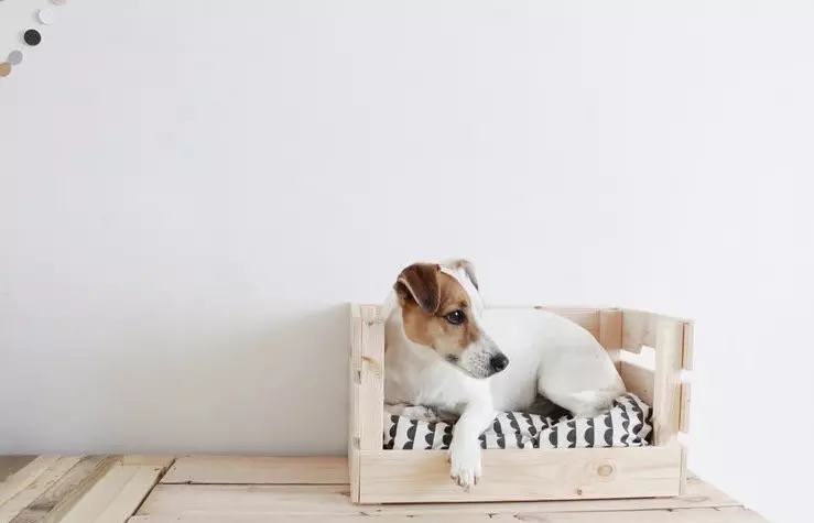 8 coola föremål för dina hundar som kan göras med egna händer från IKEA-möbler 10247_24