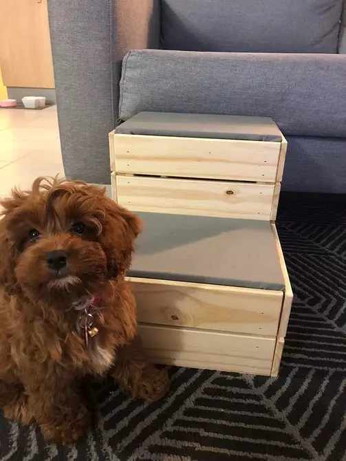 8 coola föremål för dina hundar som kan göras med egna händer från IKEA-möbler 10247_6