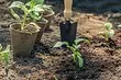 Top 7 errores populares del jardinero novato (y cómo prevenirlos)