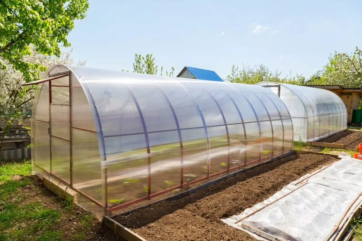What kind of polycarbonate for the greenhouse is better: choose 5 criteria 10345_17