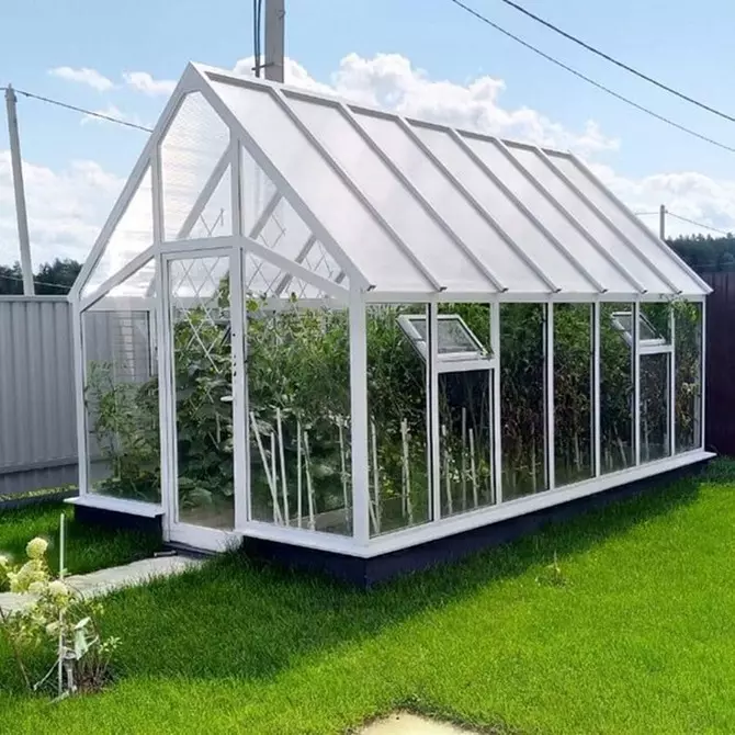 What kind of polycarbonate for the greenhouse is better: choose 5 criteria 10345_23