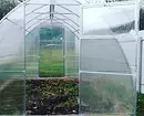 What kind of polycarbonate for the greenhouse is better: choose 5 criteria 10345_9