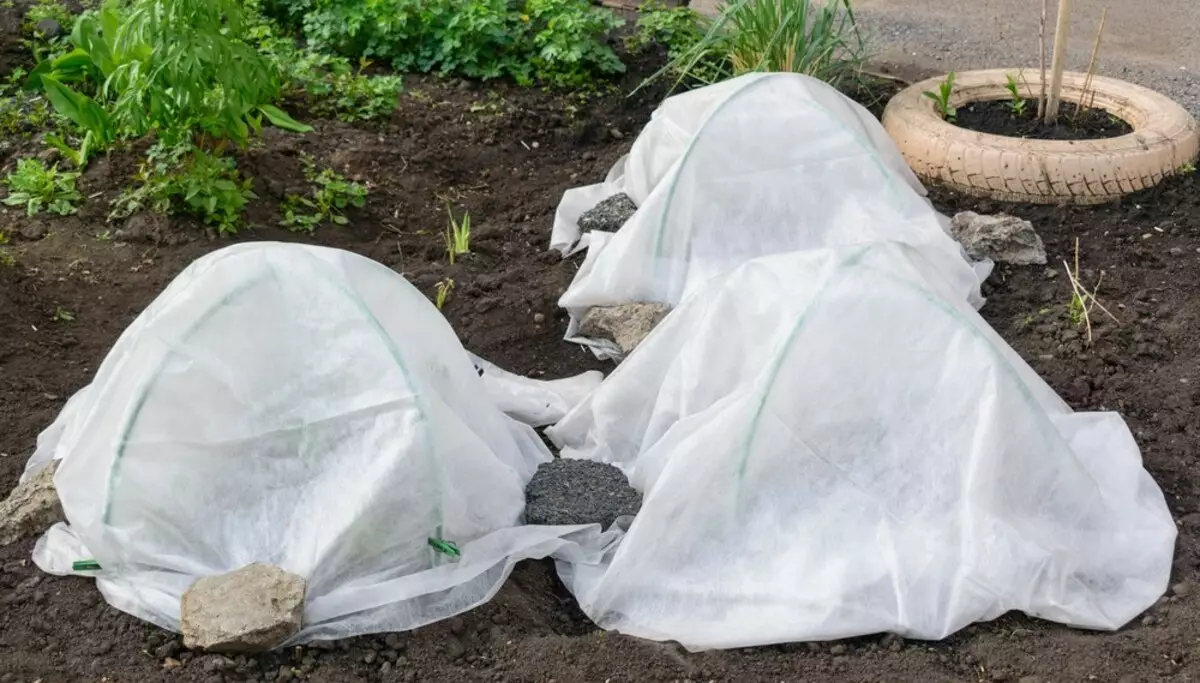 Behatzaile materialen gida: negutegietarako, negutegietarako eta oheetarako 10359_7