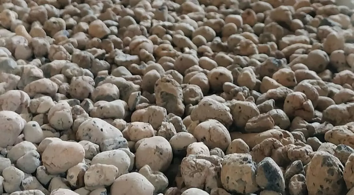 Granules of Ceramzita