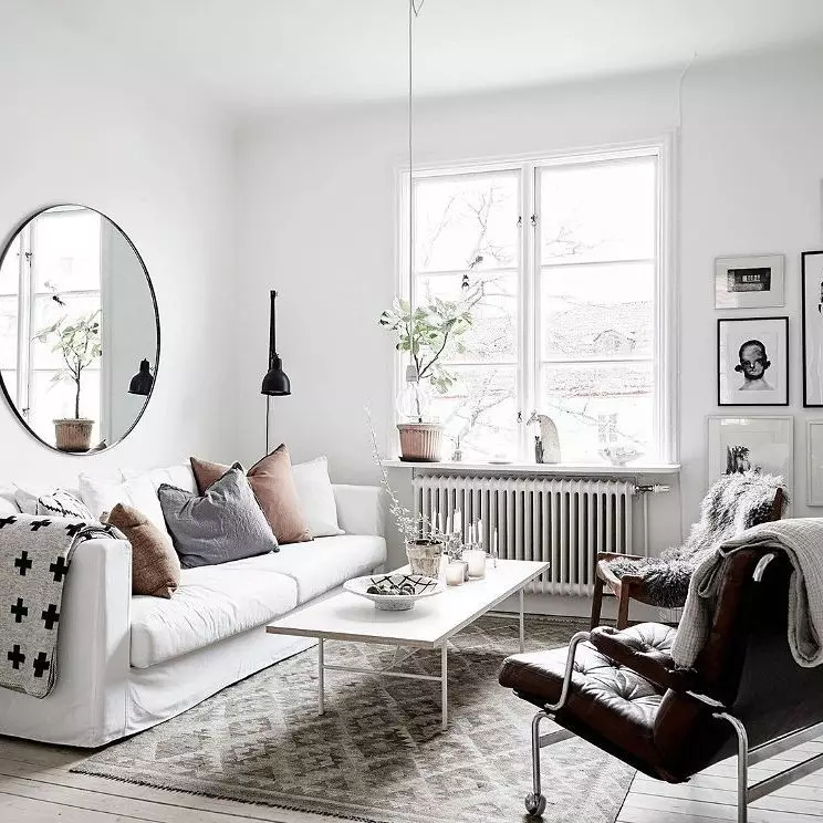 斯堪的纳维亚风格照片的客厅
