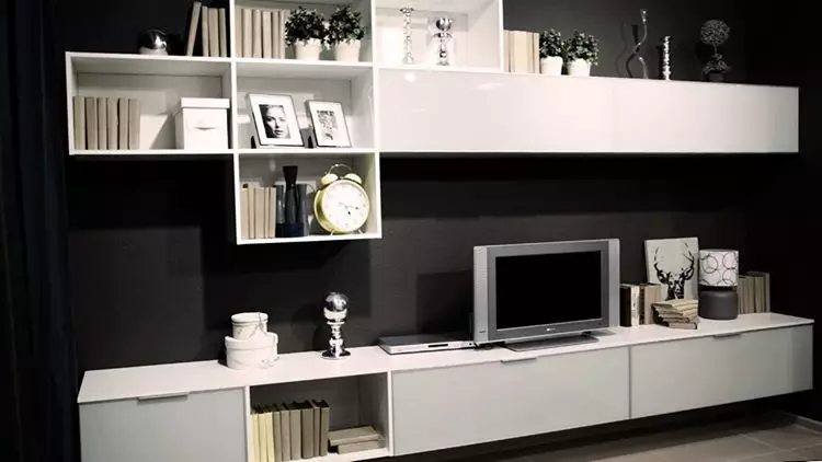 Muren onder een tv in een moderne stijl: kies het beste model voor het interieur 10461_101