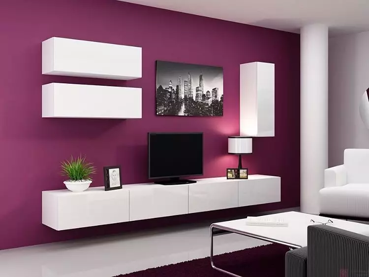 Seinät TV: n alla modernissa tyylillä: Valitse paras malli sisätiloihin 10461_65
