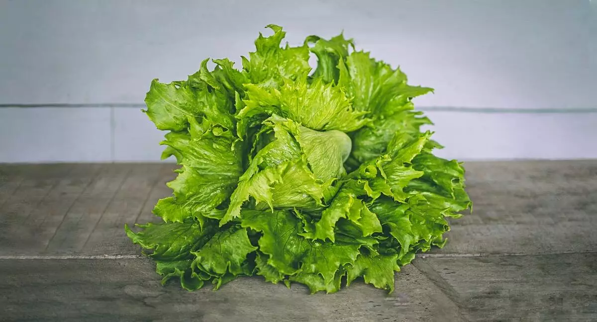Salad leaf