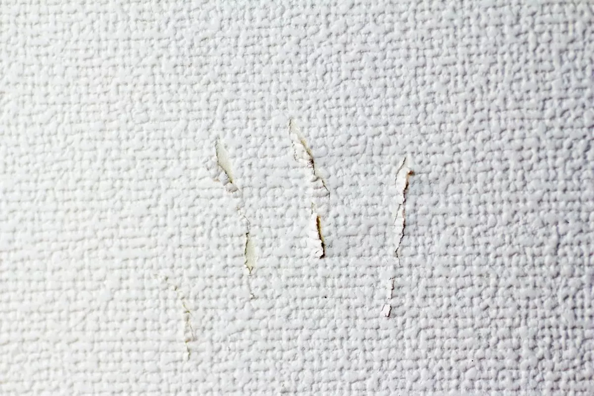 Otried, tergores, pecah dan 5 kerusakan lainnya pada wallpaper, yang mudah diperbaiki 1051_5