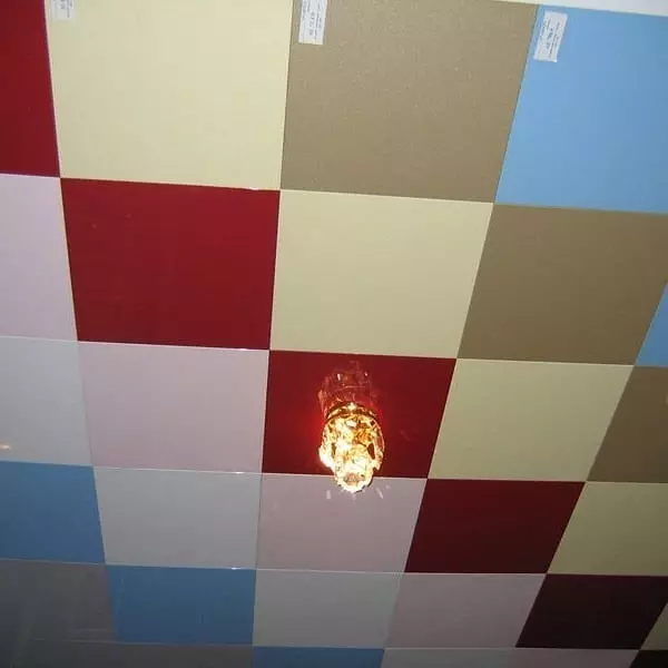 Maitiro ekusarudza yakamiswa ceiling: mhando uye maficha 10521_19