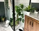 How to wash indoor plants (and whether it is necessary to do it) 1054_11