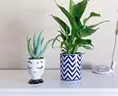 How to wash indoor plants (and whether it is necessary to do it) 1054_20