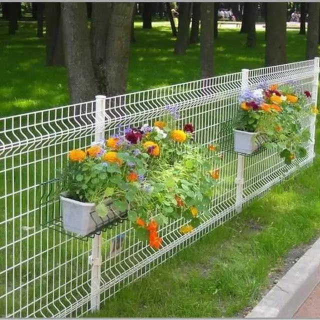 3D Fences: Types, Features of Choosing and Installation 10577_98
