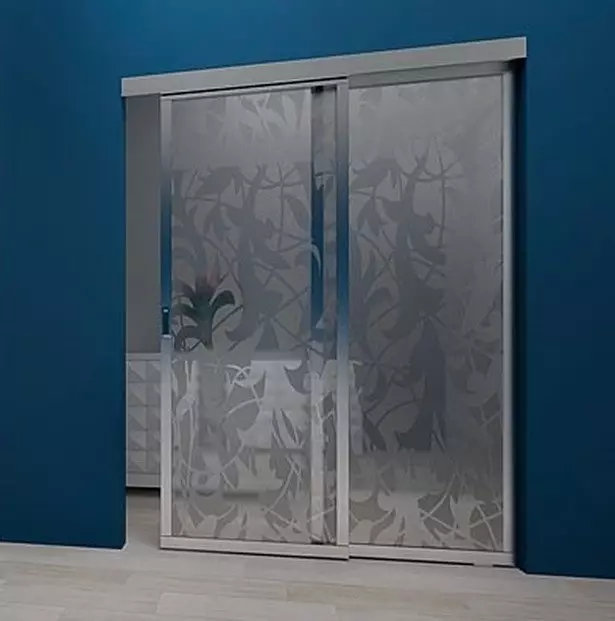 Glass door guide: species, features of mounting, decorating and care 10595_116