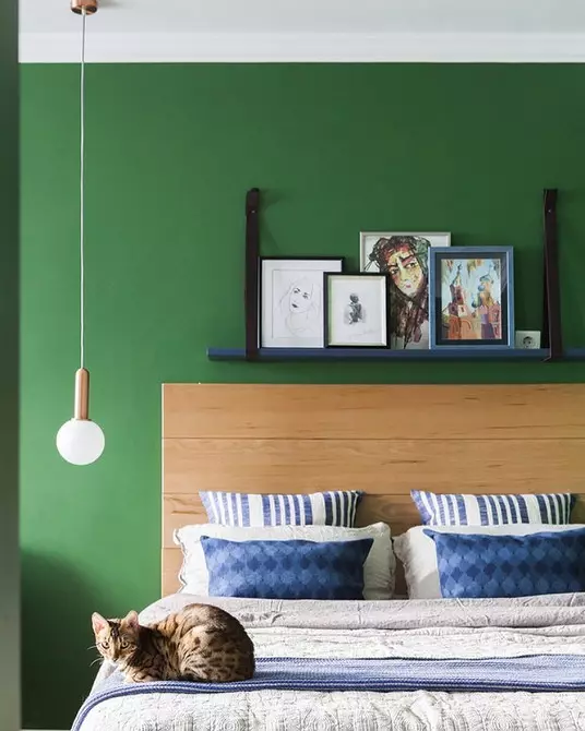 5 small apartments in which the color has entered the fore 10607_5