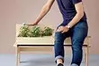 カシュポランプ、家具の植物と7人の創造的なアイデア家の温室