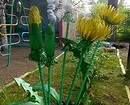 မြက်ပင်များမှပုလင်းများမှလက်မှုပညာ - ဥယျာဉ်အတွက် 6 အေးမြပြီးရိုးရှင်းသောအကြံဥာဏ်များ 10683_43