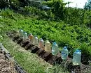 Hantverk från flaskor med egna händer: 6 Coola och enkla idéer för trädgården 10683_71