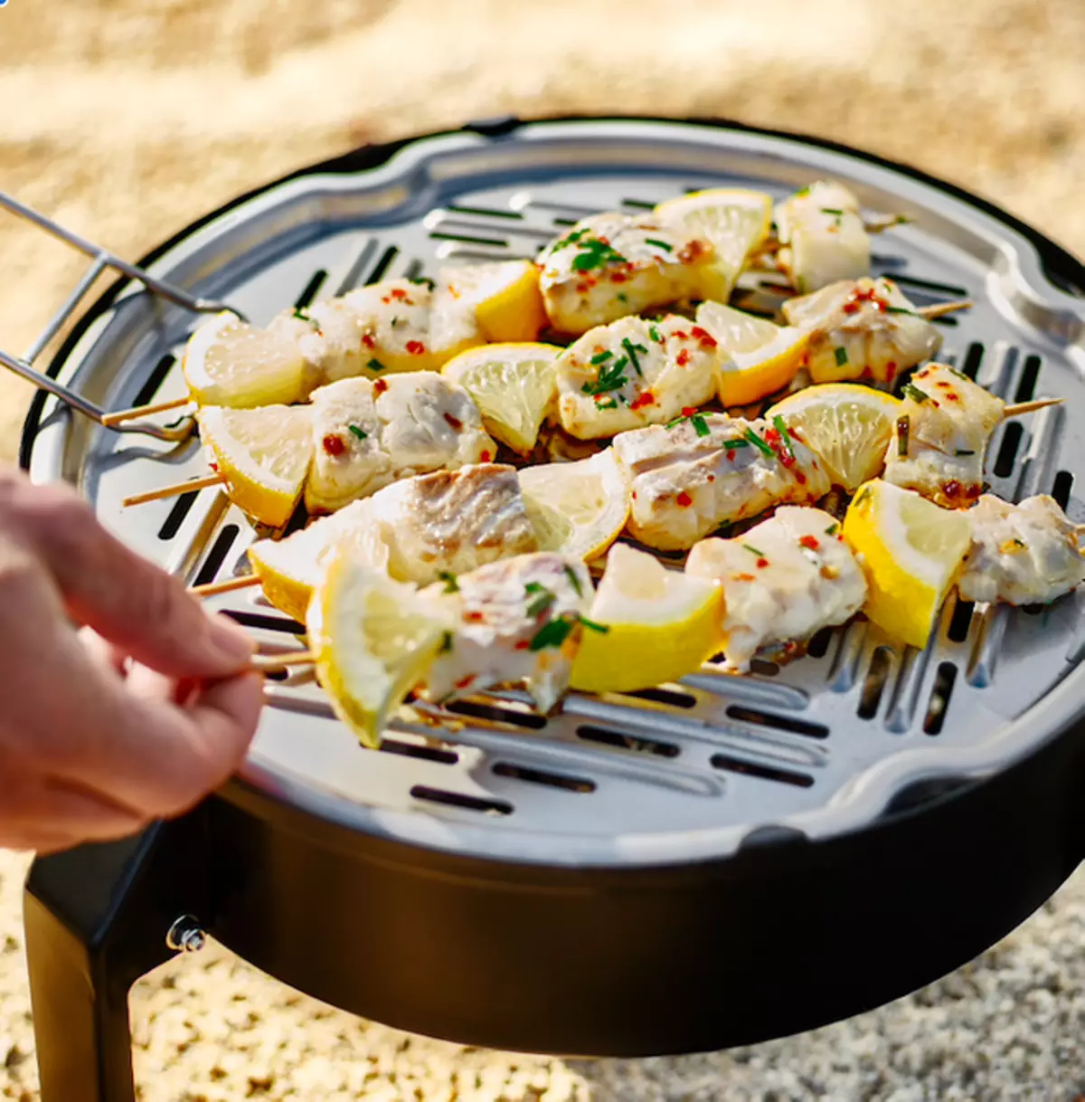 Kottinada mangal zonasi uchun panjara zonasi uchun panjara barbekyuini qanday tanlash kerak: 10 delometrik maslahatlar 10687_6