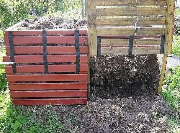 Sådan laver du en kompost yam i landet: Instruktioner fra A til Z 10712_14