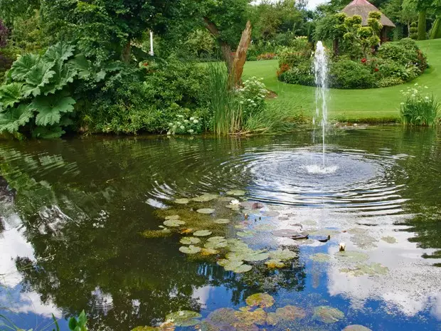 如何製作花園噴泉用自己的手來贈送：簡單的指導和15個拍照的例子 10721_7