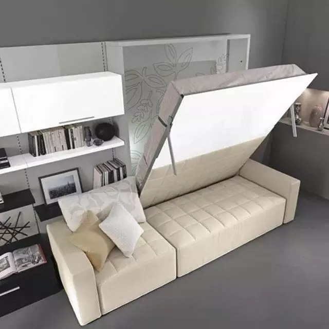 Hvordan kombinere stue og soverom: 11 Nyttige ideer og 50 designeksempler 10727_15