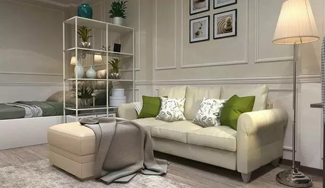Cómo combinar la sala de estar y el dormitorio: 11 ideas útiles y 50 ejemplos de diseño 10727_98