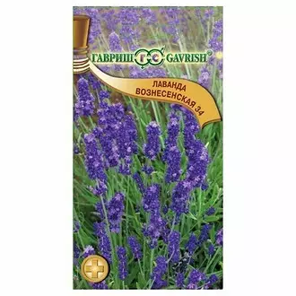 Seeds Gavrish Medicine Lavender Voznesenskaya