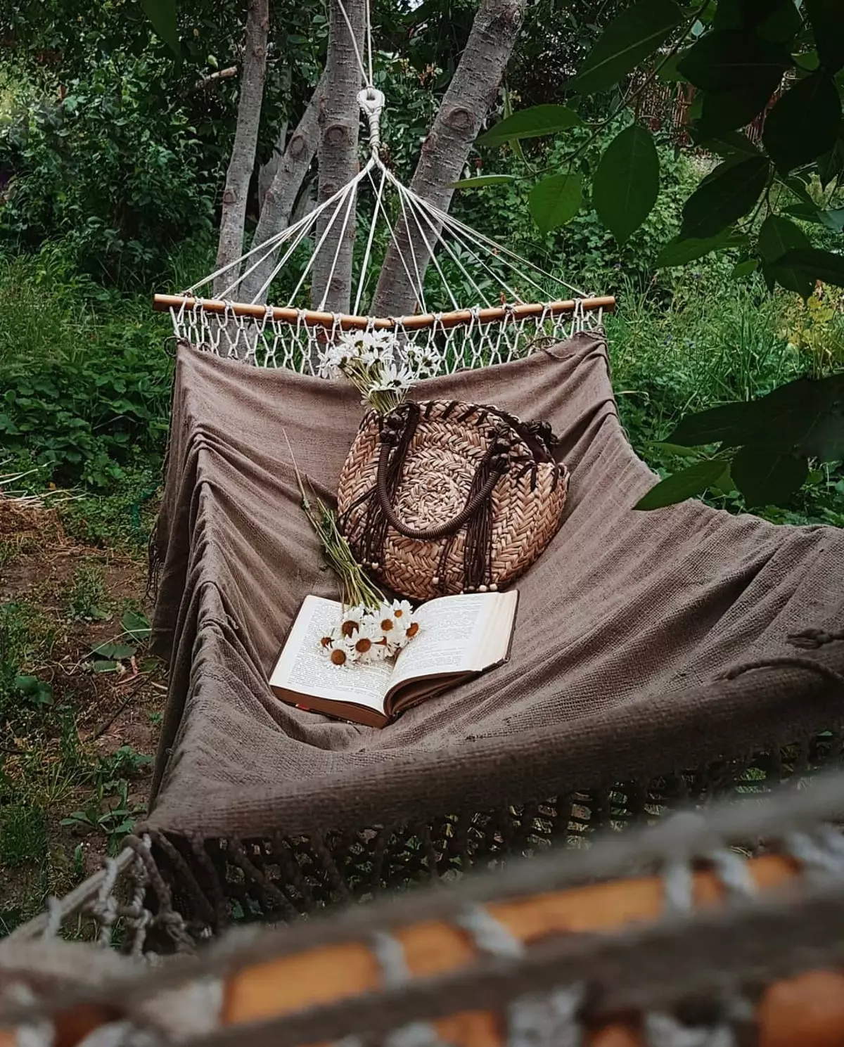 Hammock nën pemë në vend: Si të rri, foto