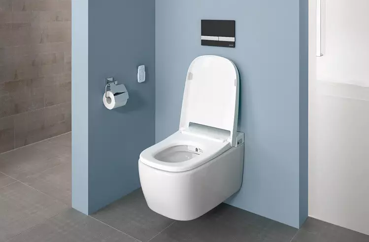 Sanitaartehnilised ja väikesed vannitoa mööbel: kasulik tervisejuhi 10823_15