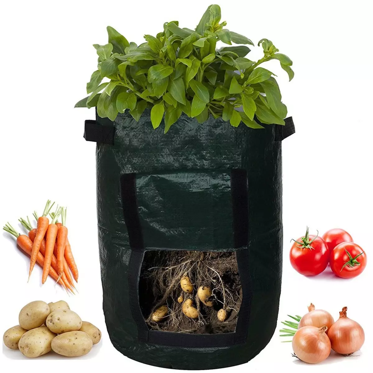 Bag for growing potatoes