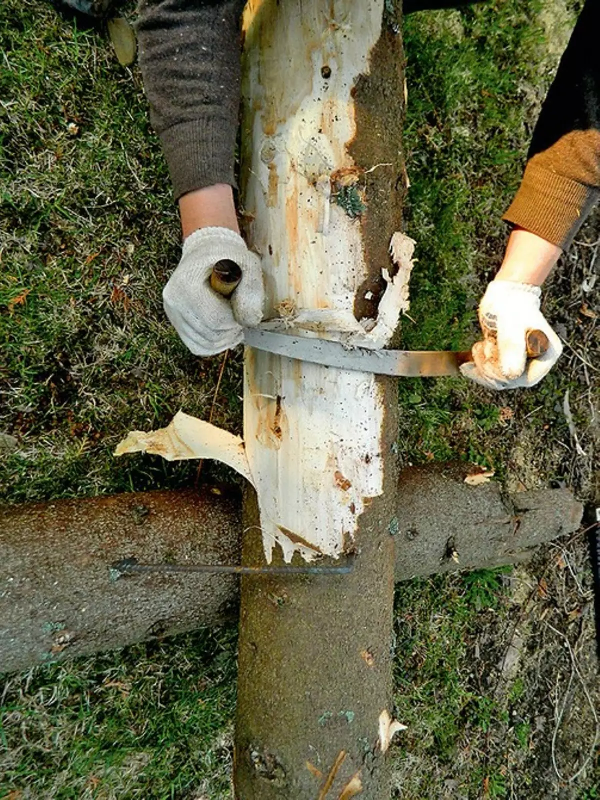 Kako izgraditi sjeckanu kuću: sve faze od narudžbi do ukrasa 10855_15