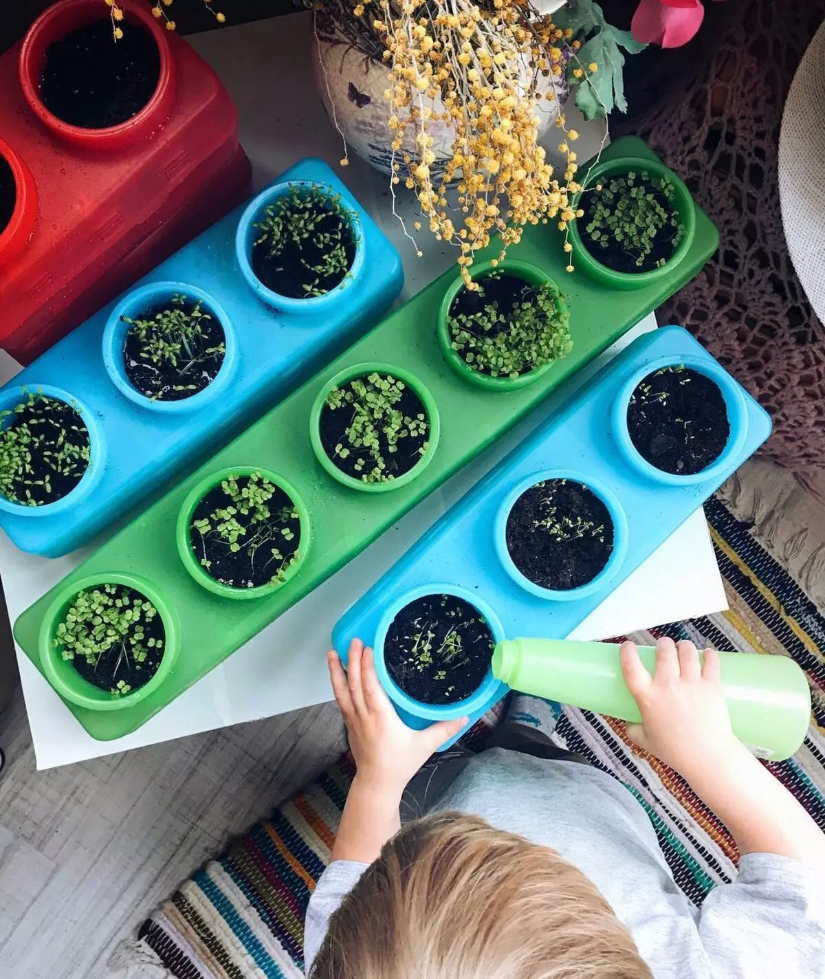 Kleine stijlvolle tuin op het balkon van de stad: foto