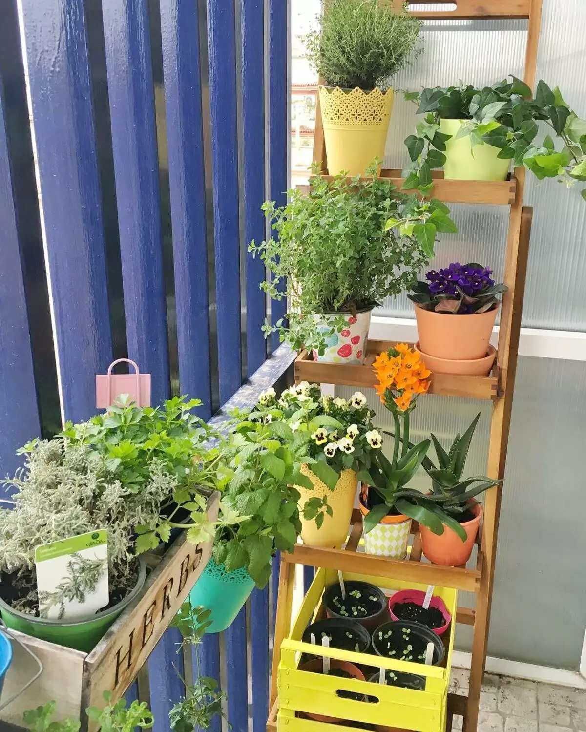 Petit jardin élégant sur le balcon de la ville: photo