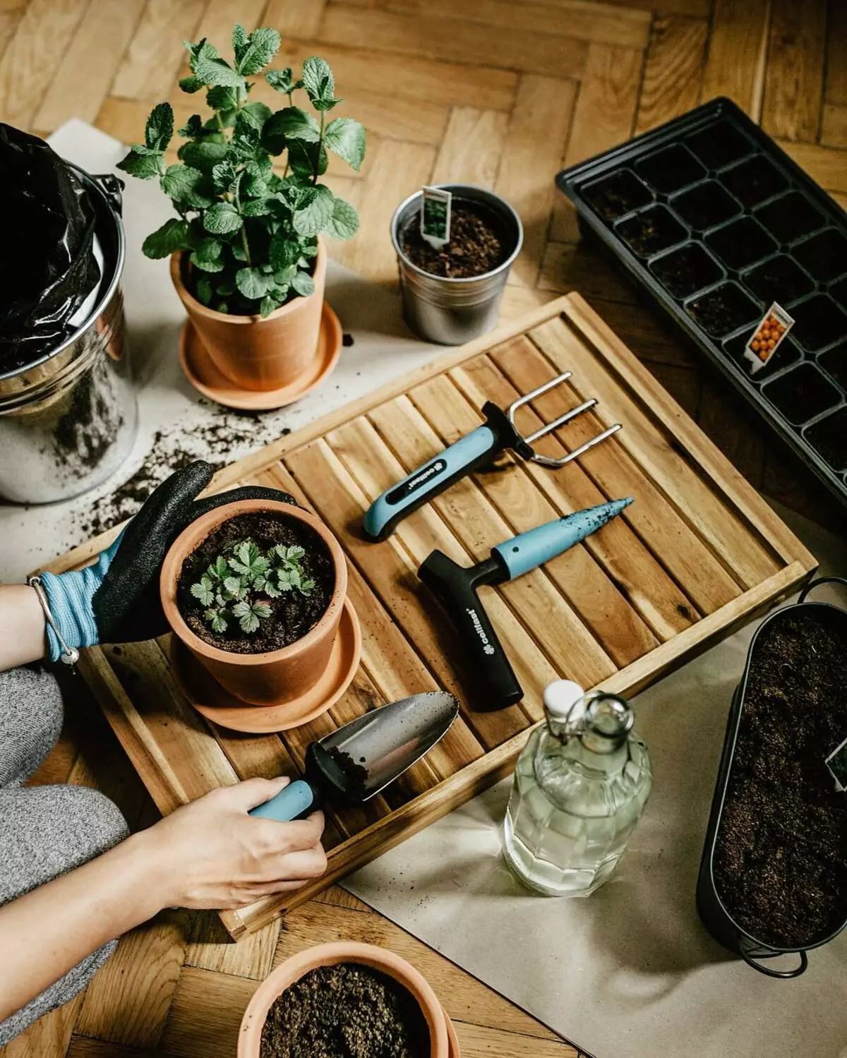 Kleine stijlvolle tuin op het balkon van de stad: foto