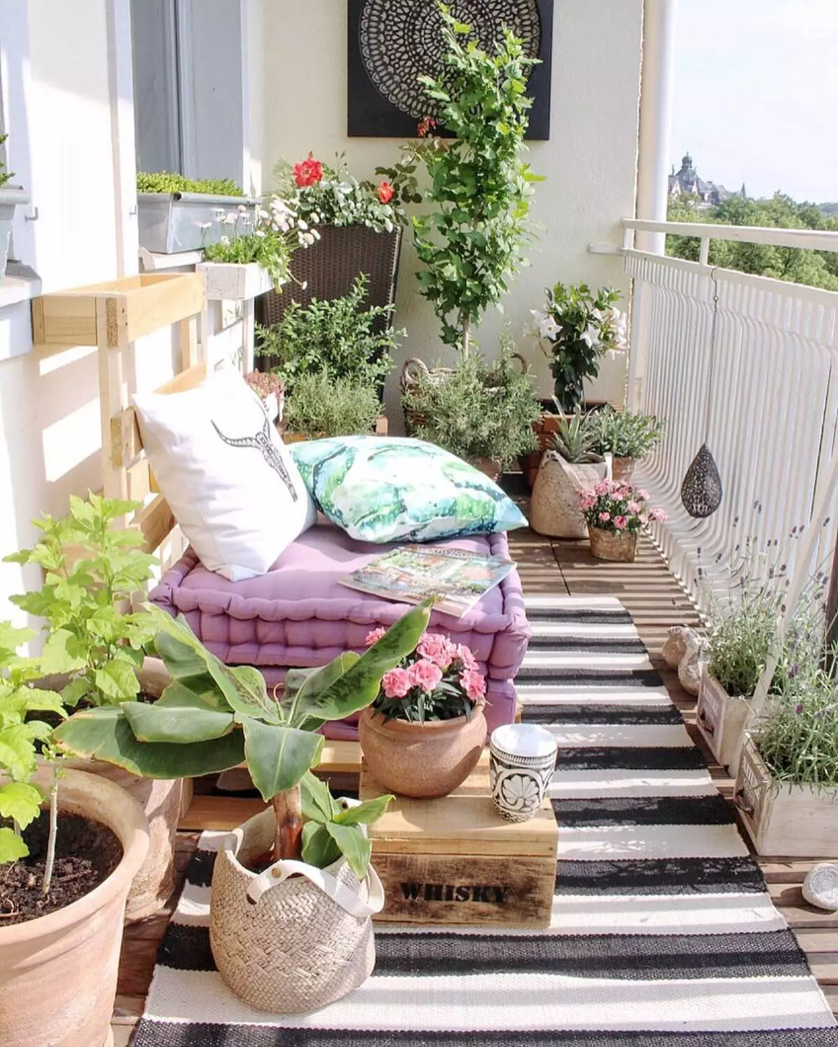 Mini jardin sur le balcon de la ville: photo