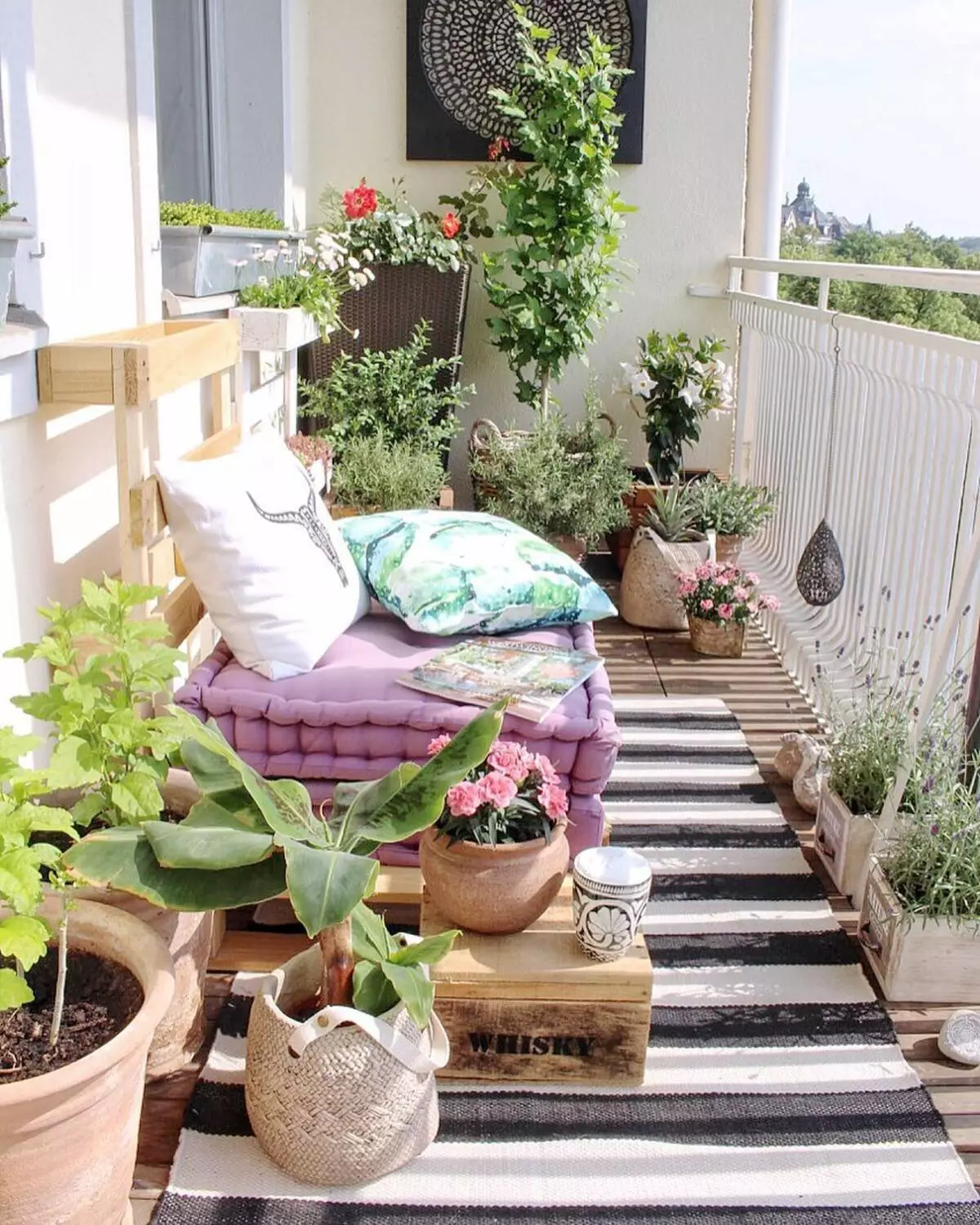 Mini Garden på byen Balkon: Foto